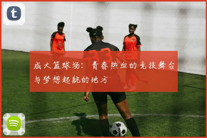 成大篮球场：青春热血的竞技舞台与梦想起航的地方