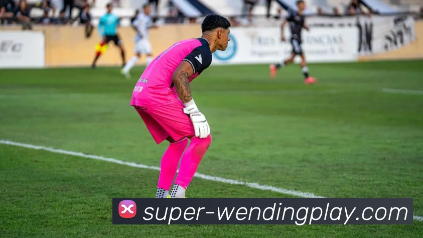 问鼎官网服务体系